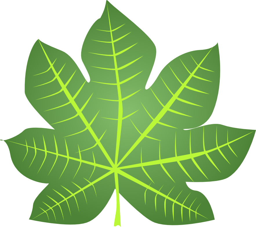 Vibrant Green Leaf Graphic