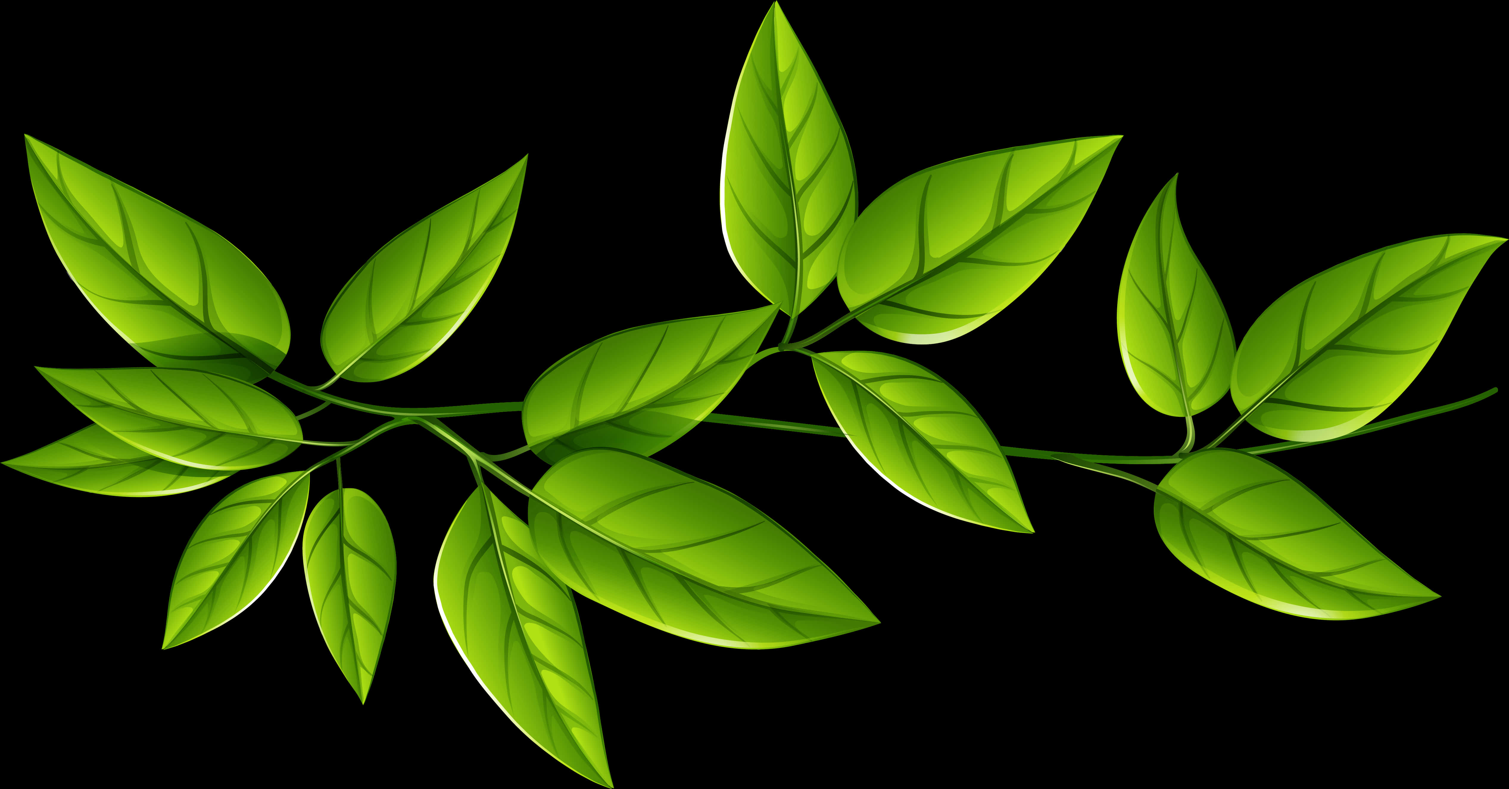 Vibrant Green Leaves Clipart