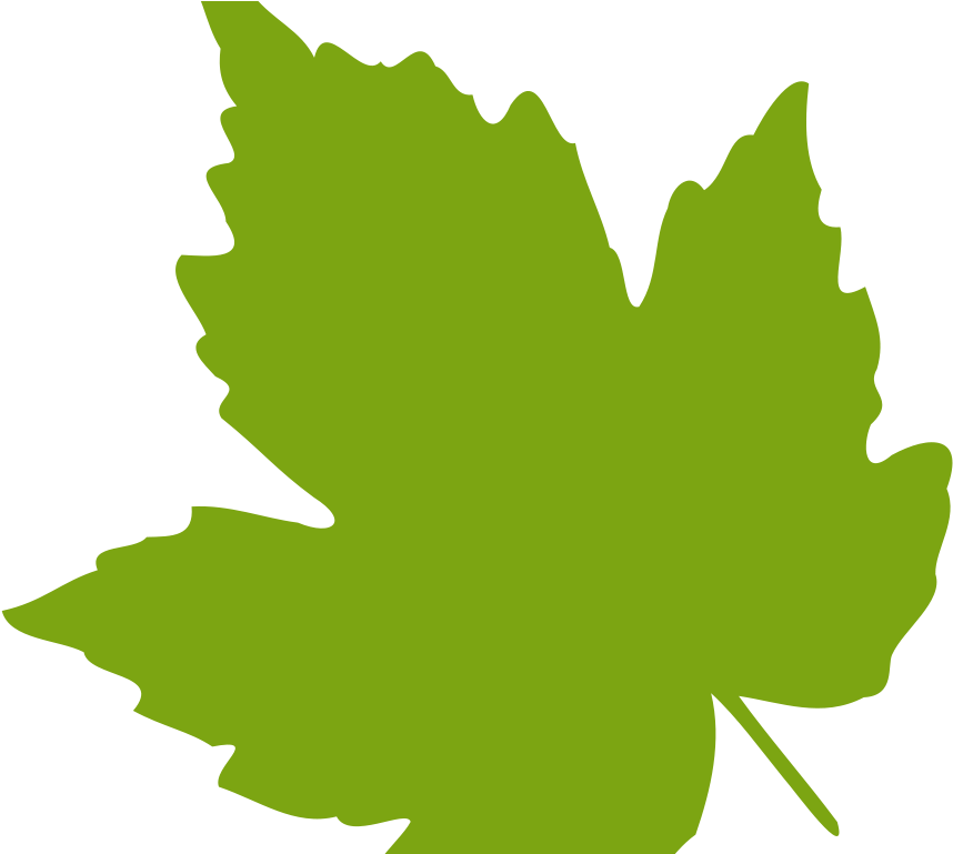 Vibrant Green Maple Leaf Graphic