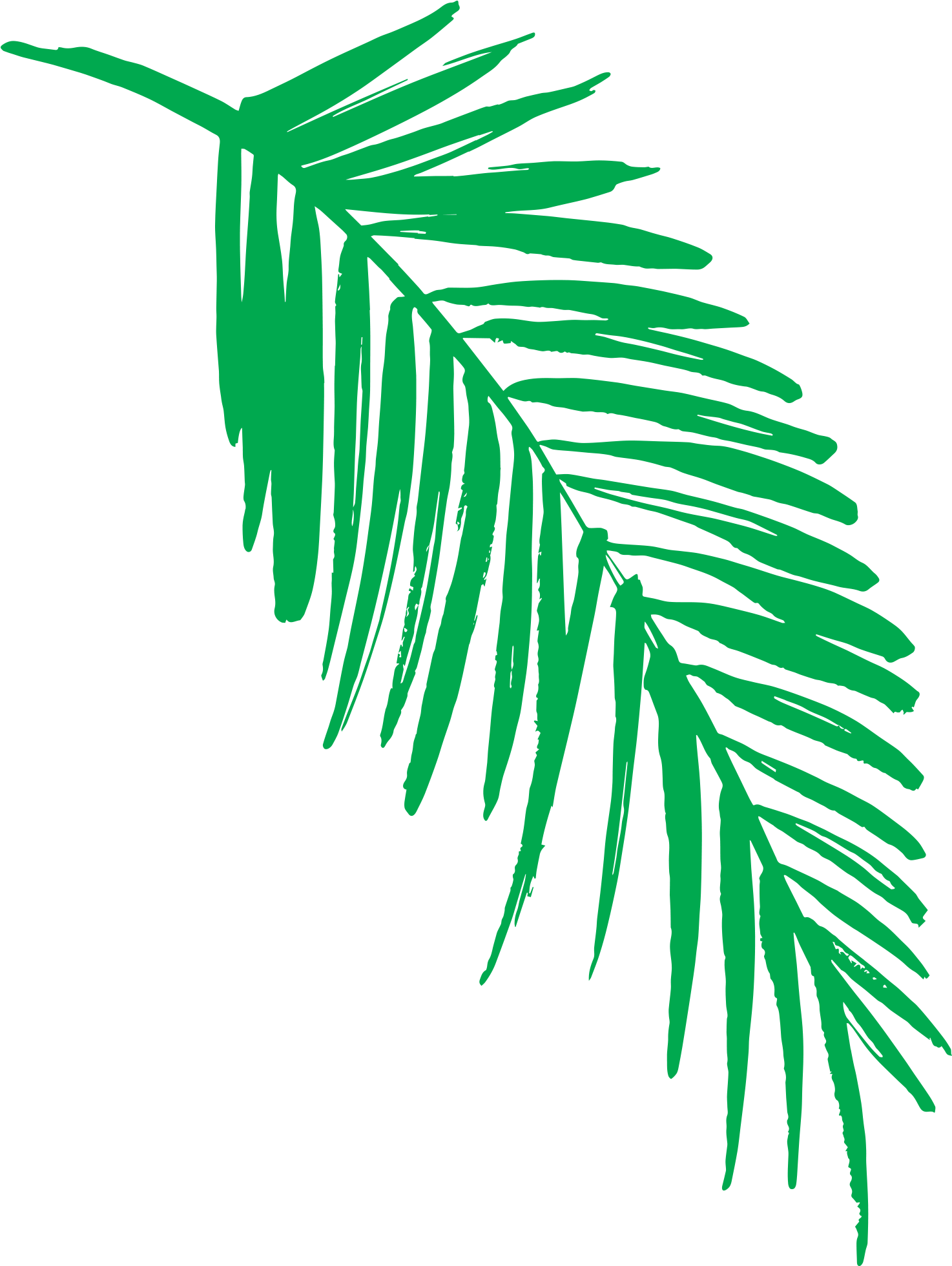 Vibrant Green Palm Leaf Graphic