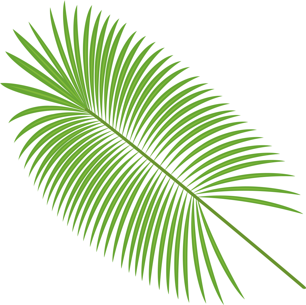 Vibrant Green Palm Leafon Blue Background