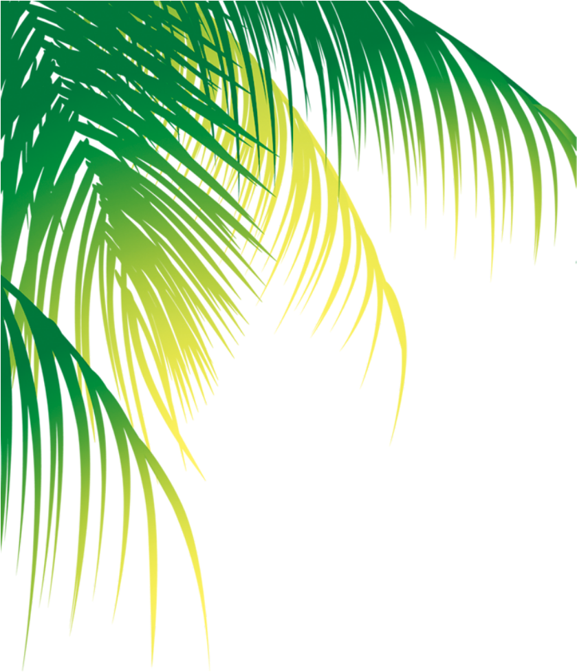 Vibrant Green Palm Leaves