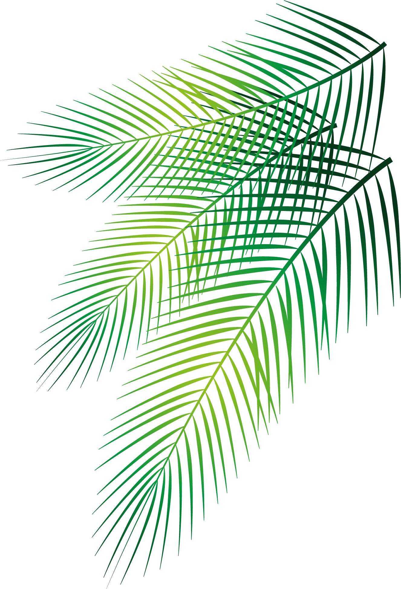 Vibrant Green Palm Leaves Graphic