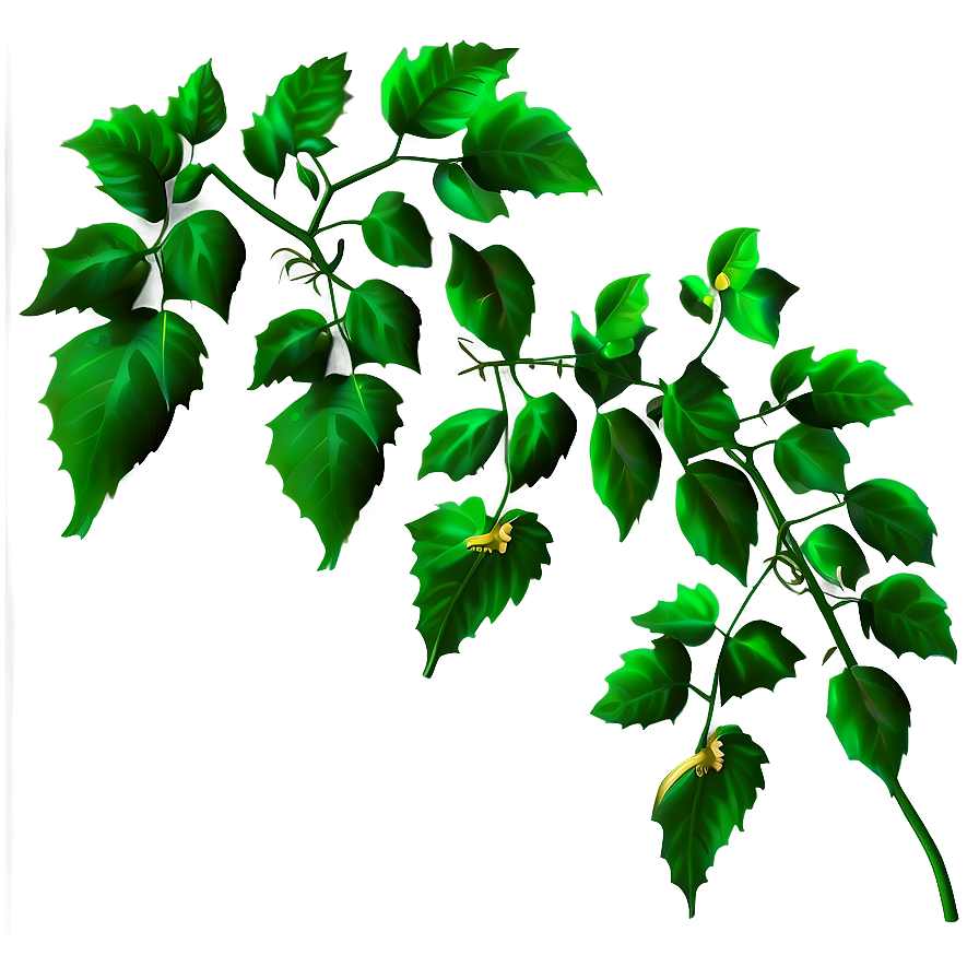 Vibrant Green Vine Leaves