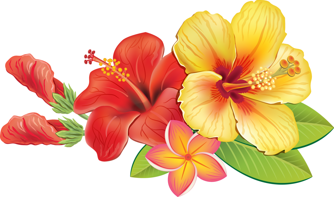 Vibrant Hawaiian Flowers Illustration