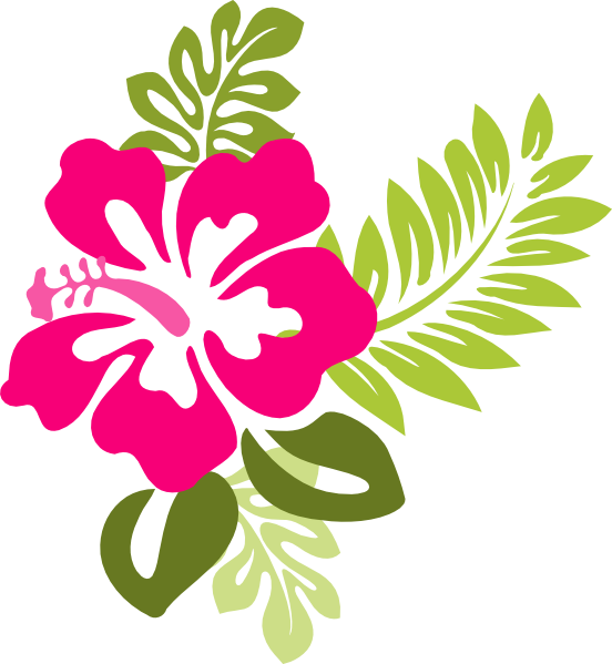 Vibrant_ Hawaiian_ Hibiscus_ Floral_ Vector