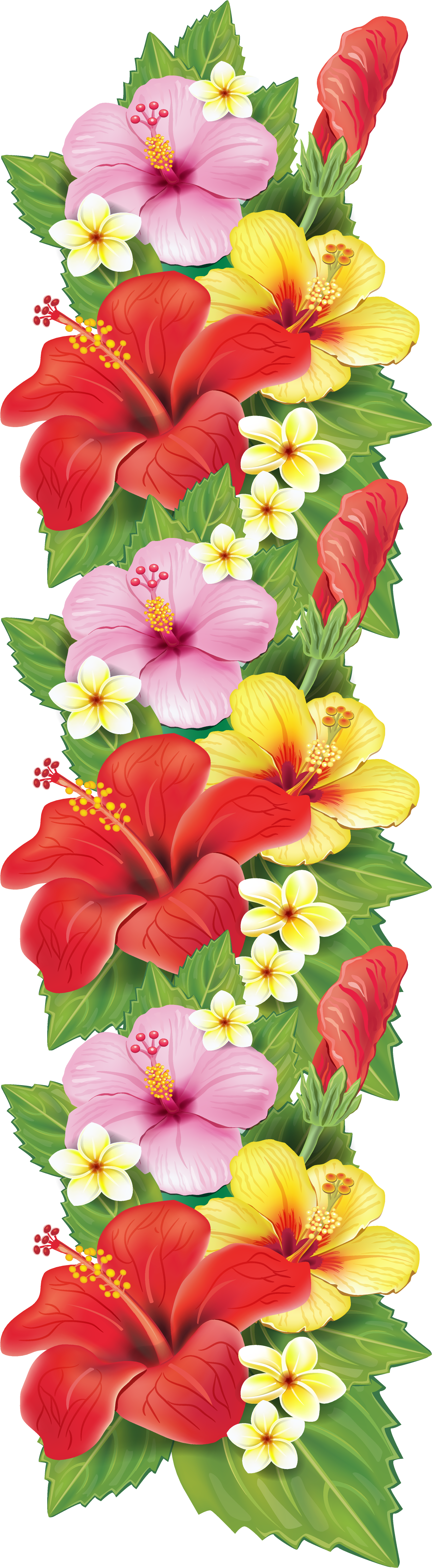 Vibrant_ Hawaiian_ Hibiscus_ Flowers