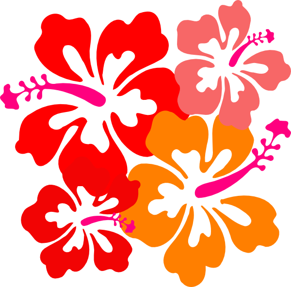 Vibrant_ Hawaiian_ Hibiscus_ Flowers_ Vector