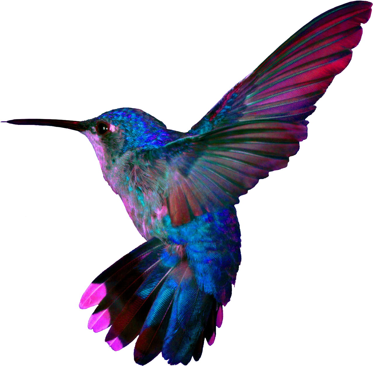 Vibrant Hummingbird In Flight.png