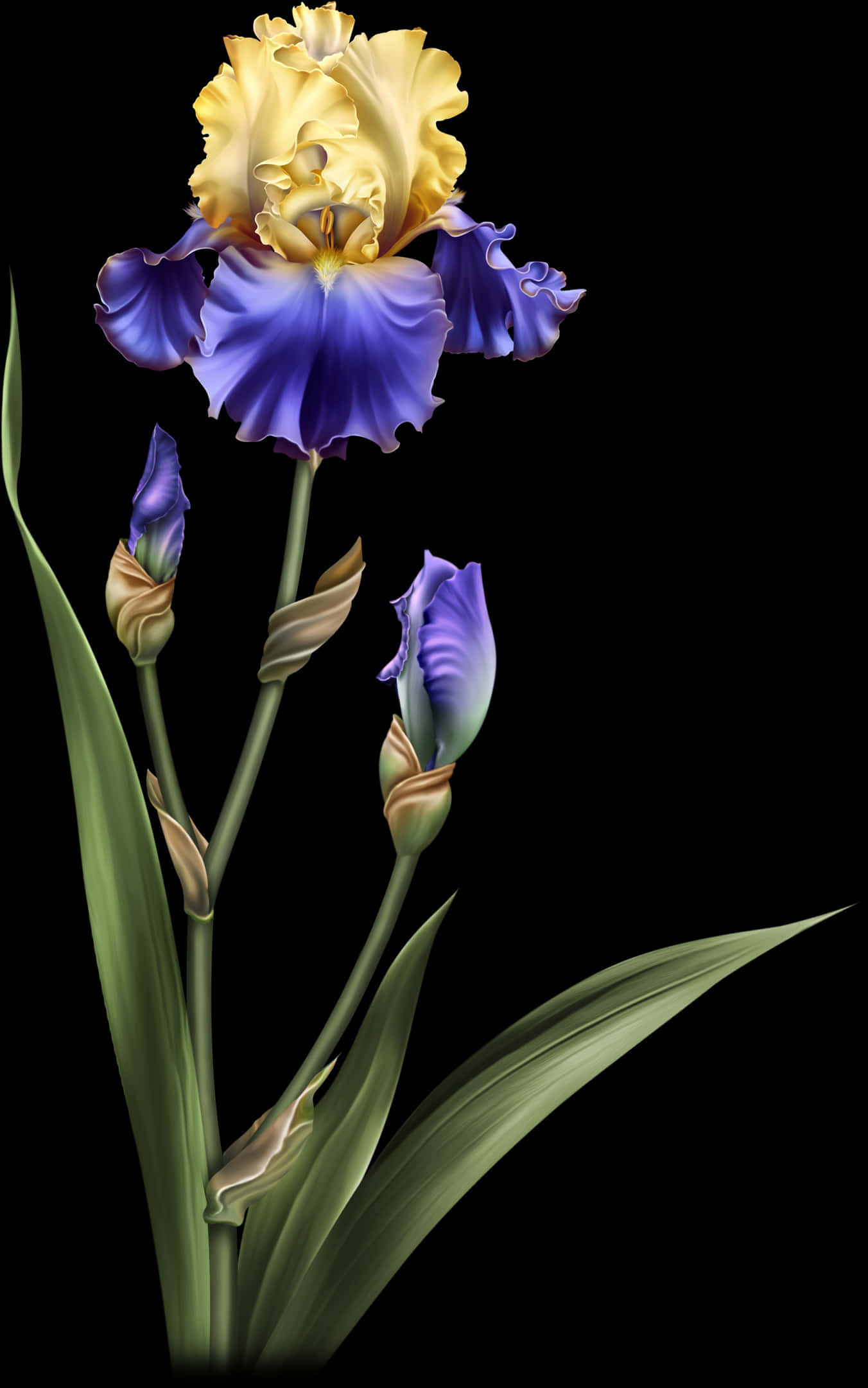 Vibrant_ Iris_ Flower_ Artwork.jpg
