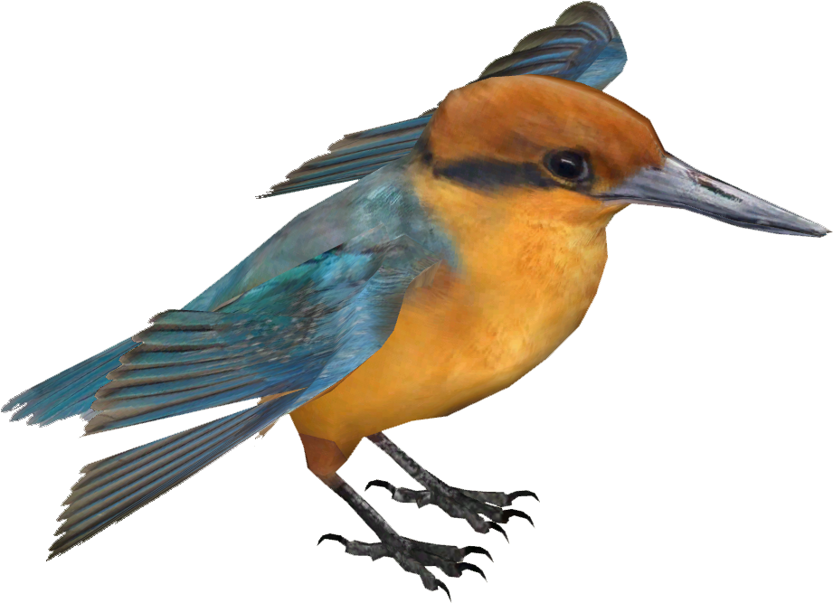 Vibrant Kingfisher Isolated