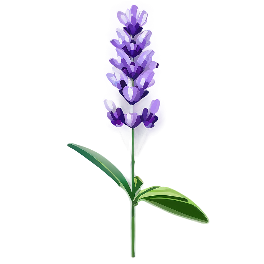 Vibrant Lavender Blossom Png 58