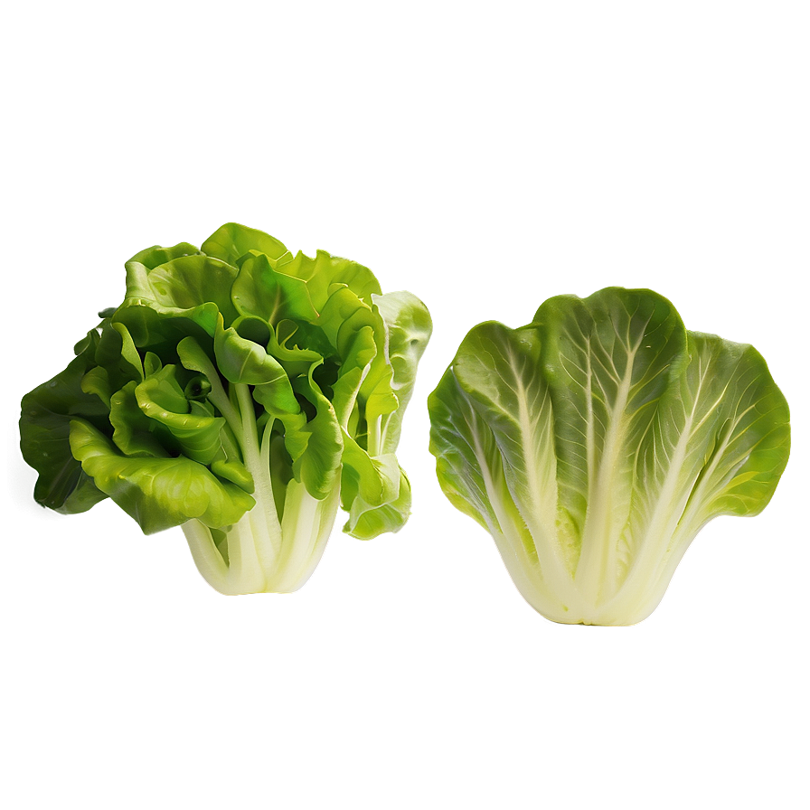 Vibrant Lettuce Png Jqg90