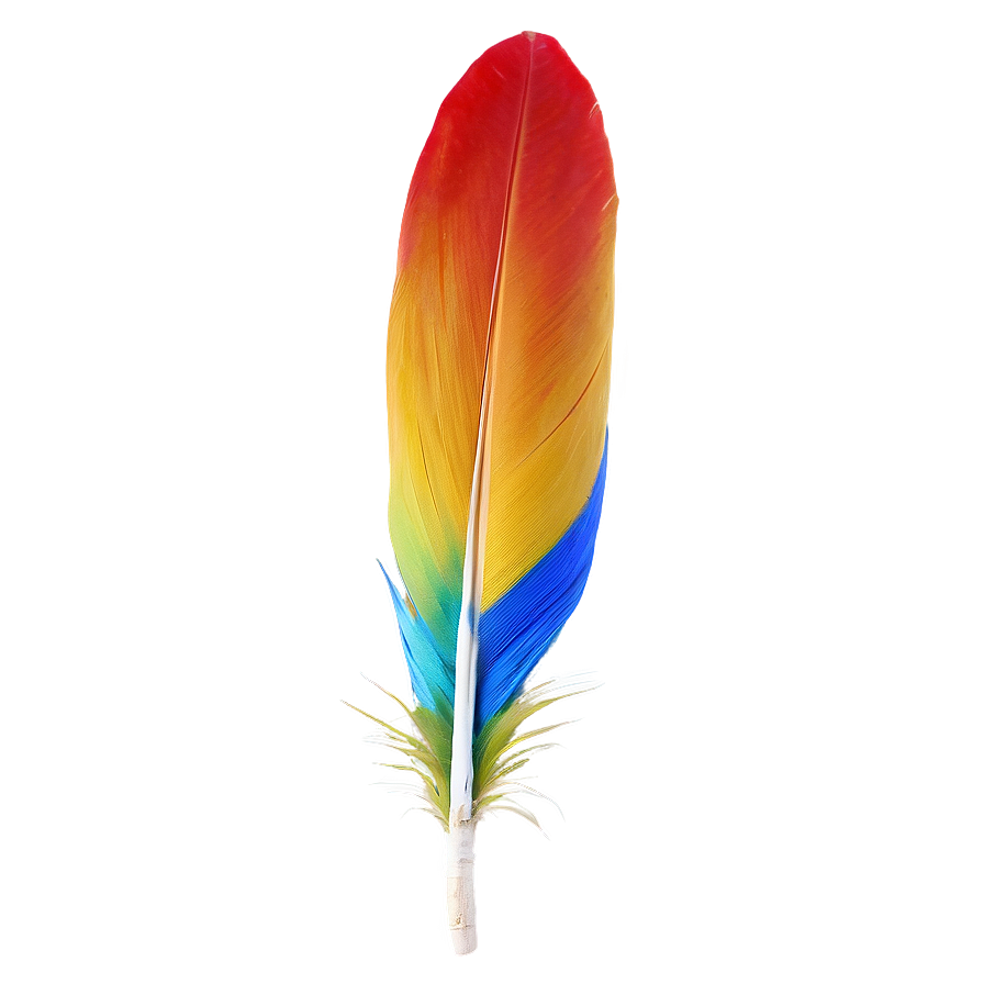 Vibrant Macaw Feather Png Jvs