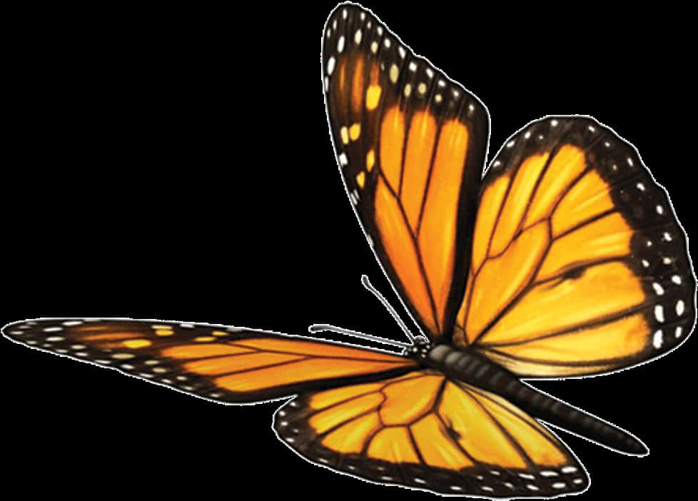 Vibrant Monarch Butterfly