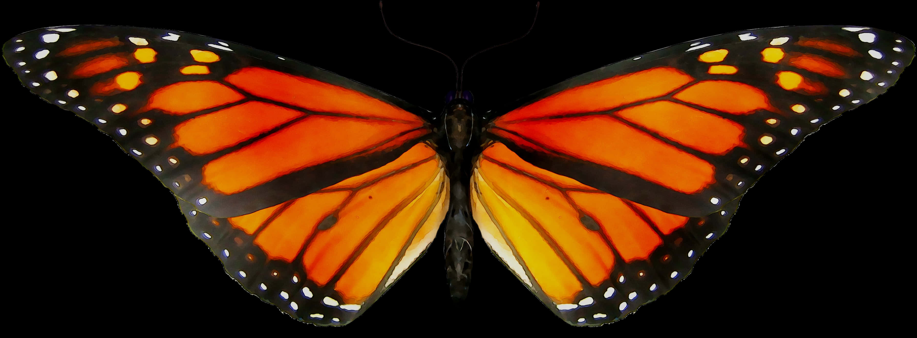 Vibrant_ Monarch_ Butterfly_ Transparent_ Background