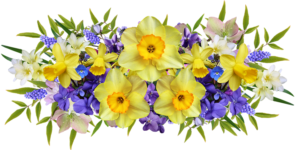 Vibrant Narcissus Floral Arrangement