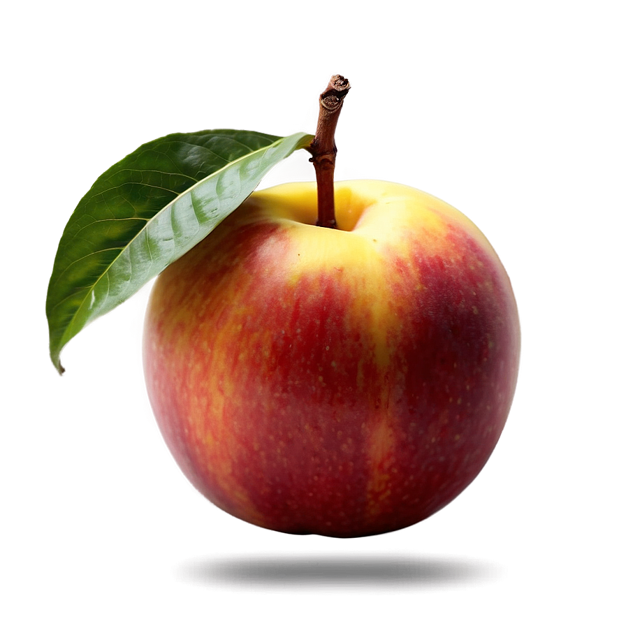 Vibrant Nectarine Png 06252024