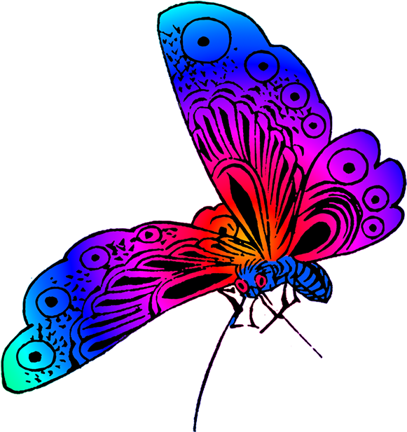 Vibrant Neon Butterfly Art