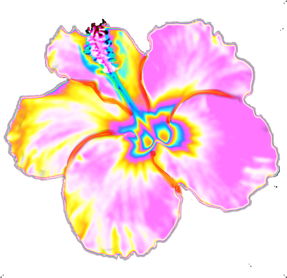 Vibrant Neon Outline Flower