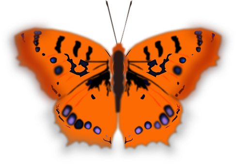 Vibrant Orange Butterfly Art