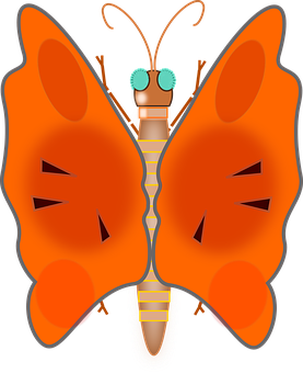 Vibrant Orange Butterfly Illustration