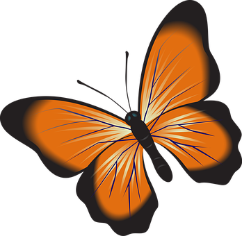 Vibrant Orange Butterfly Vector