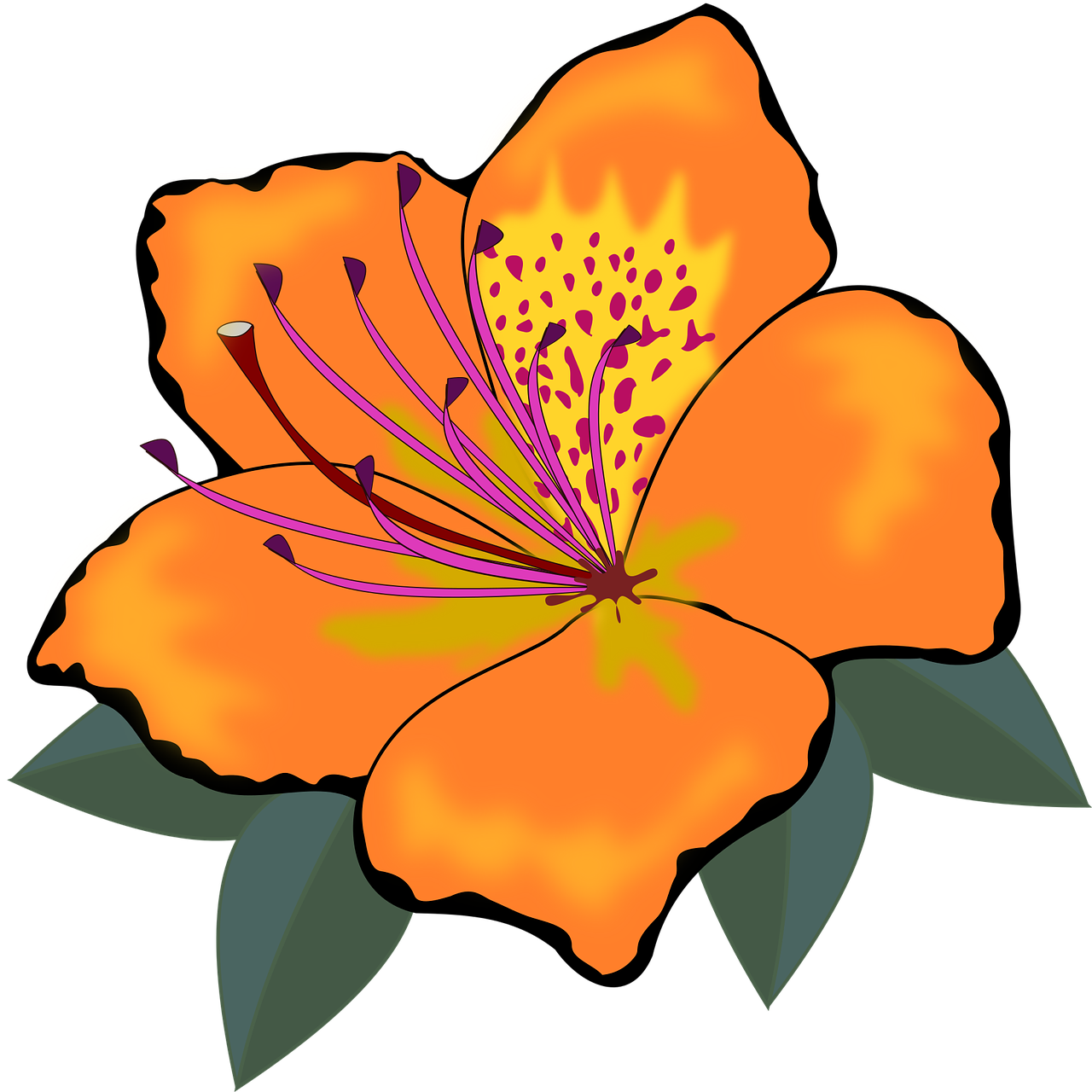 Vibrant Orange Flower Clipart