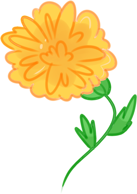 Vibrant Orange Flower Illustration