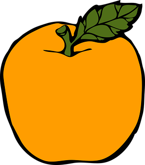 Vibrant Orange Fruit Illustration