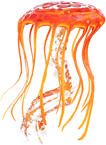 Vibrant Orange Jellyfish Graphic