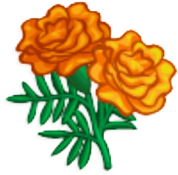 Vibrant Orange Marigolds Illustration