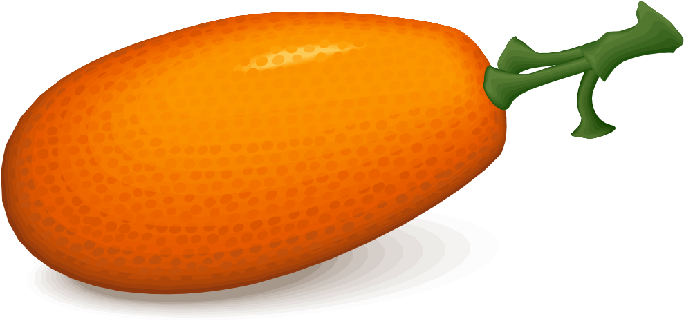 Vibrant Orange Persimmon Fruit Illustration