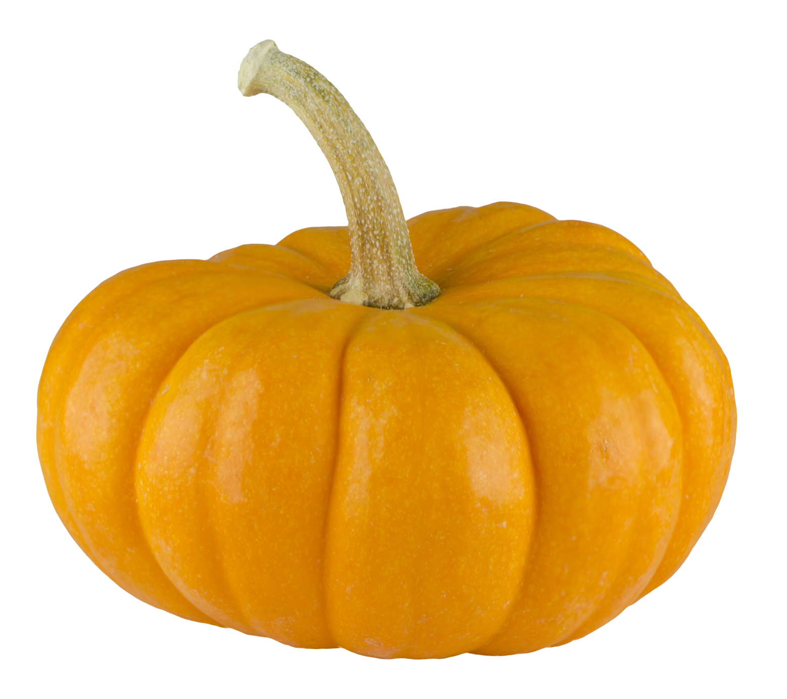 Vibrant Orange Pumpkin