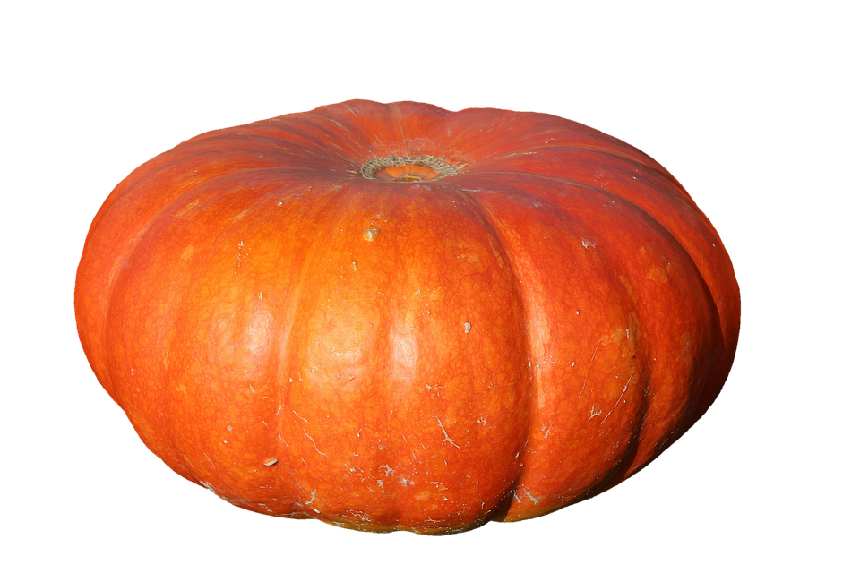 Vibrant Orange Pumpkin.png