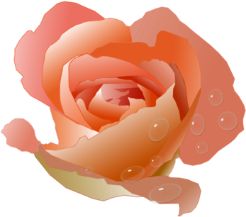 Vibrant Orange Rose Digital Artwork