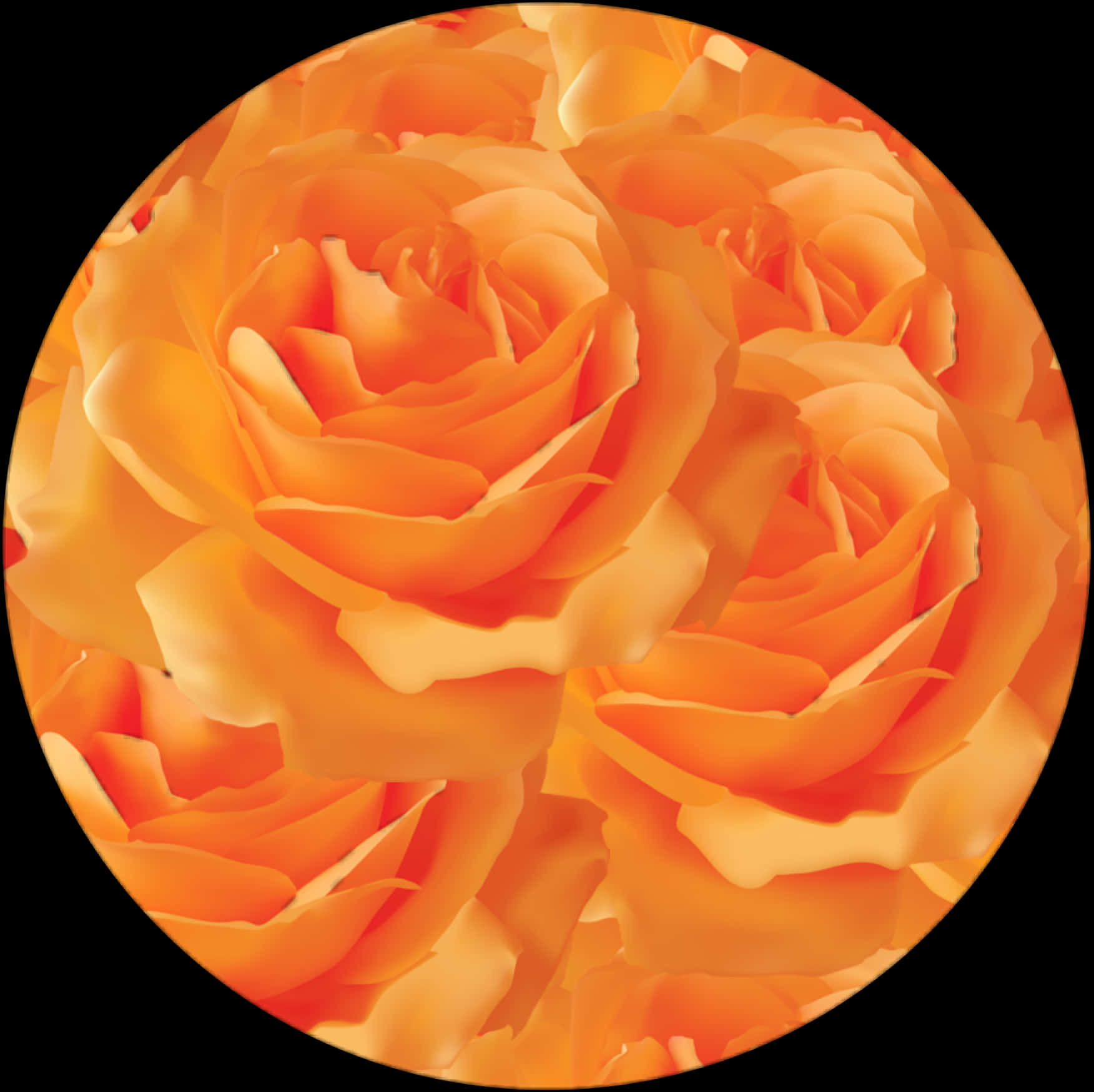 Vibrant_ Orange_ Roses_ Closeup