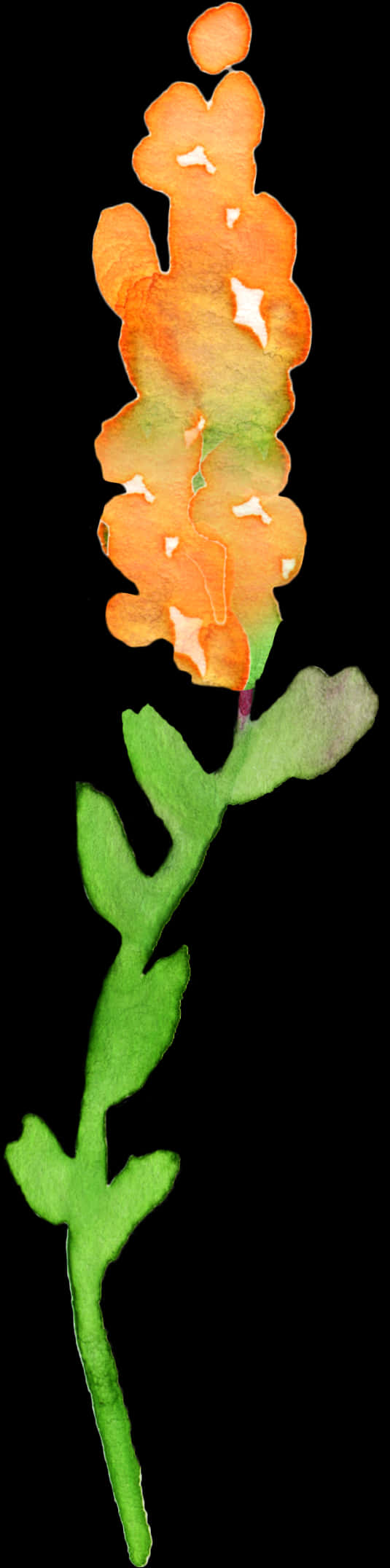 Vibrant Orange Snapdragon Flower