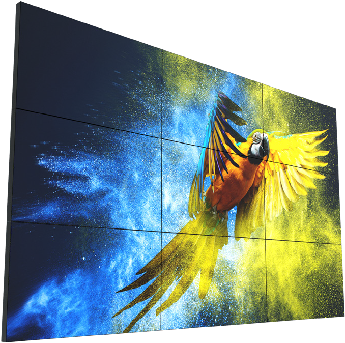 Vibrant Parrot Cosmic Wall Art