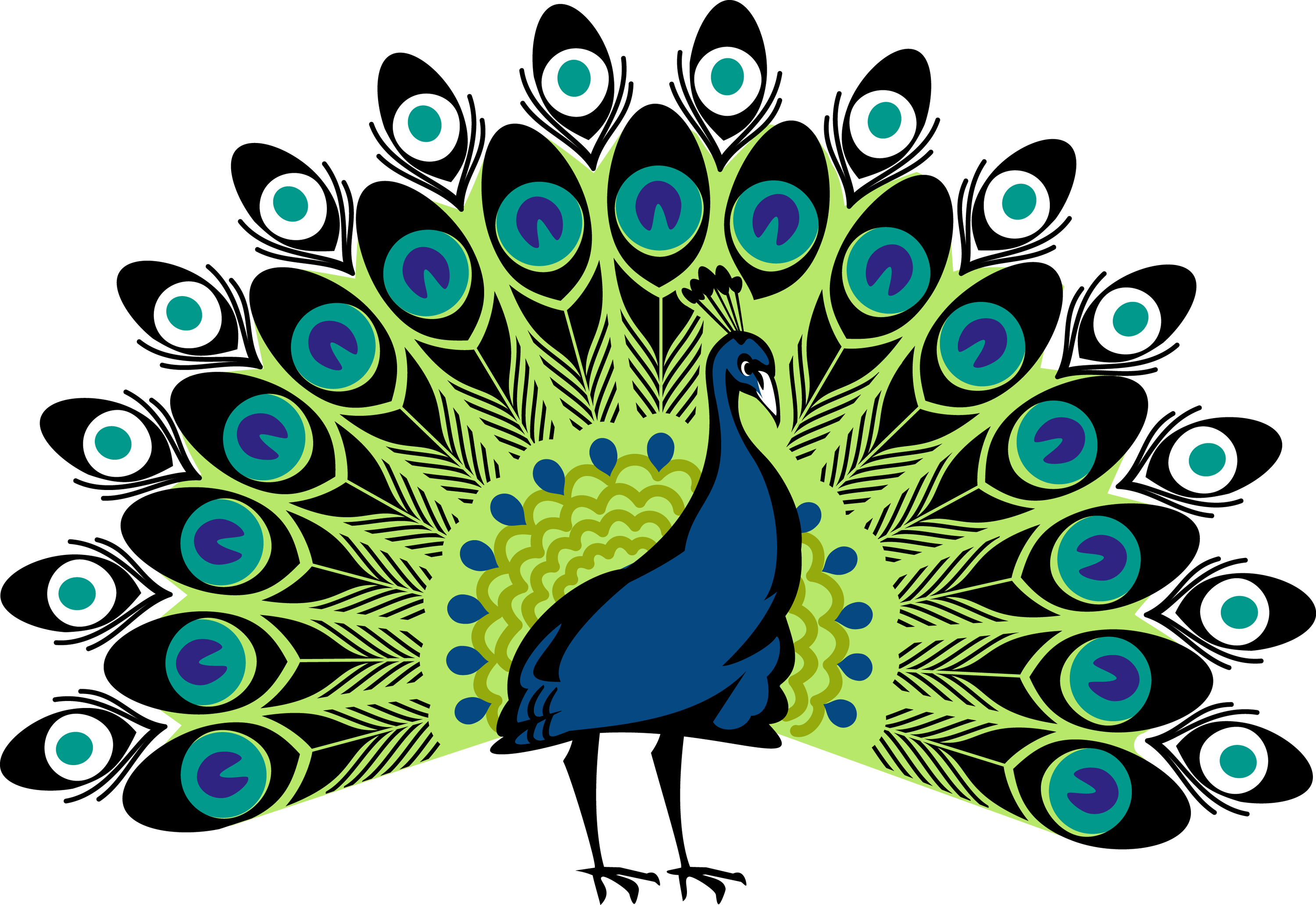 Vibrant Peacock Display Illustration