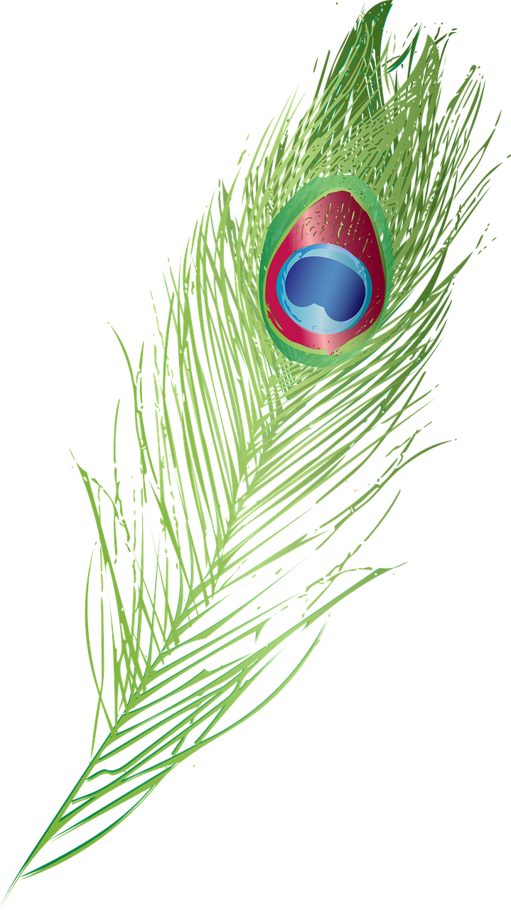 Vibrant_ Peacock_ Feather_ Artwork.png