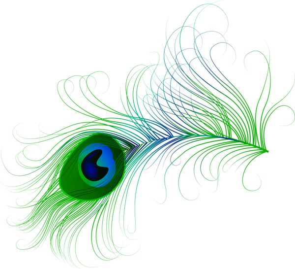 Vibrant_ Peacock_ Feather_ Artwork