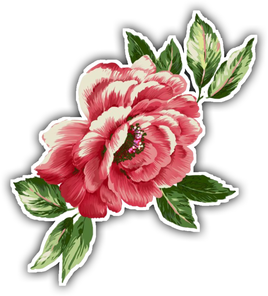 Vibrant Peony Illustration