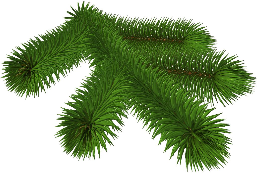 Vibrant Pine Branch3 D Render