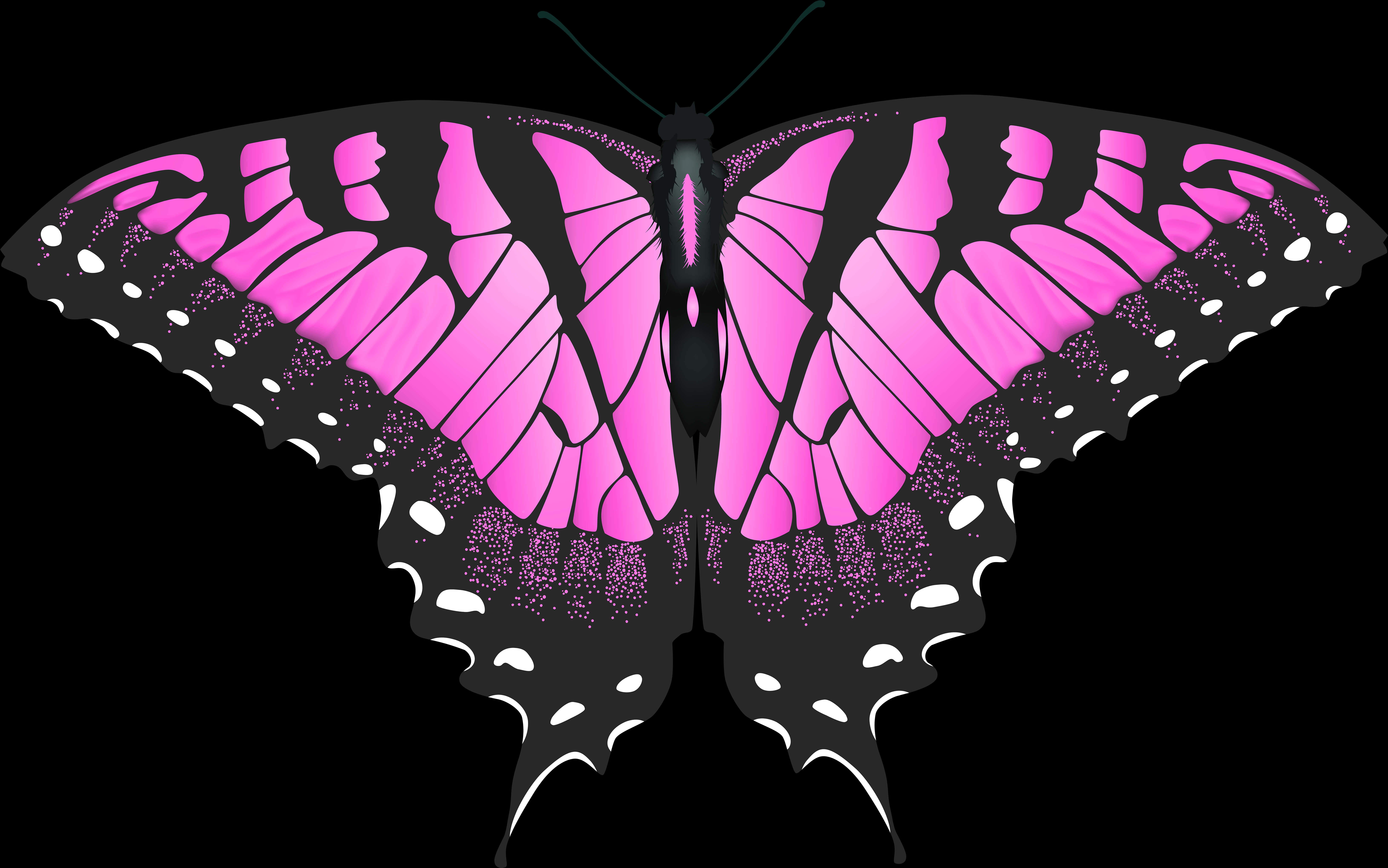 Vibrant Pink Butterfly Illustration