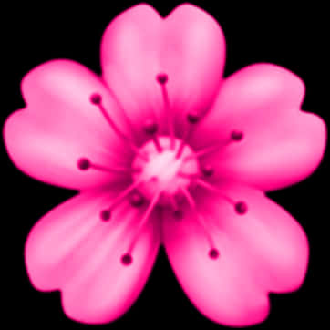Vibrant_ Pink_ Flower_ Black_ Background