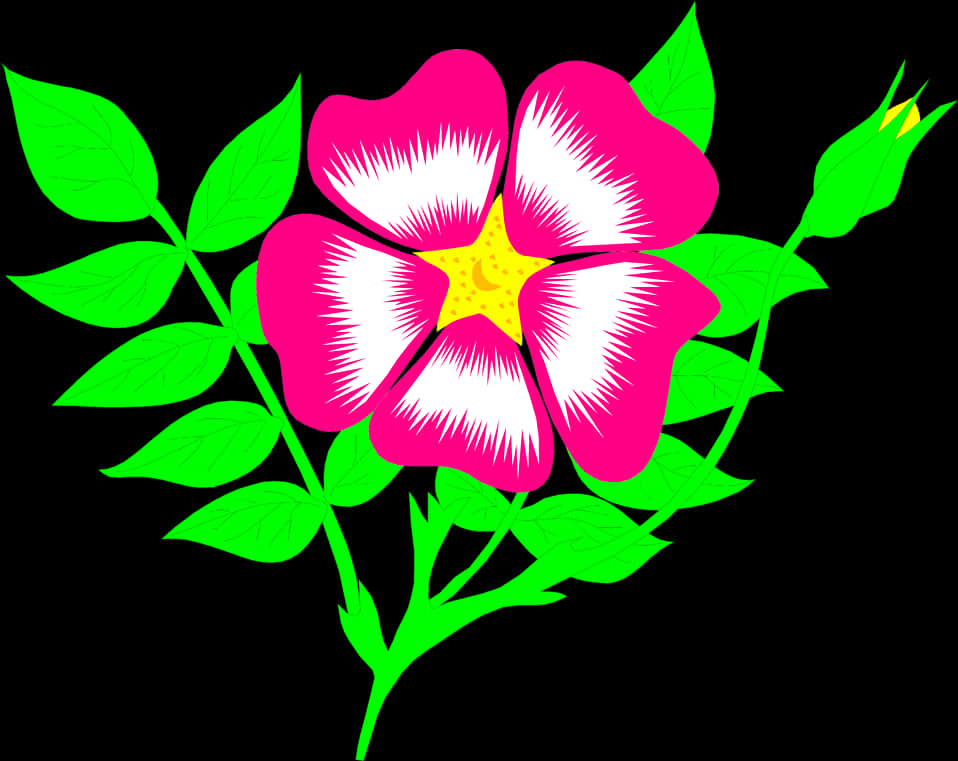 Vibrant Pink Flower Illustration