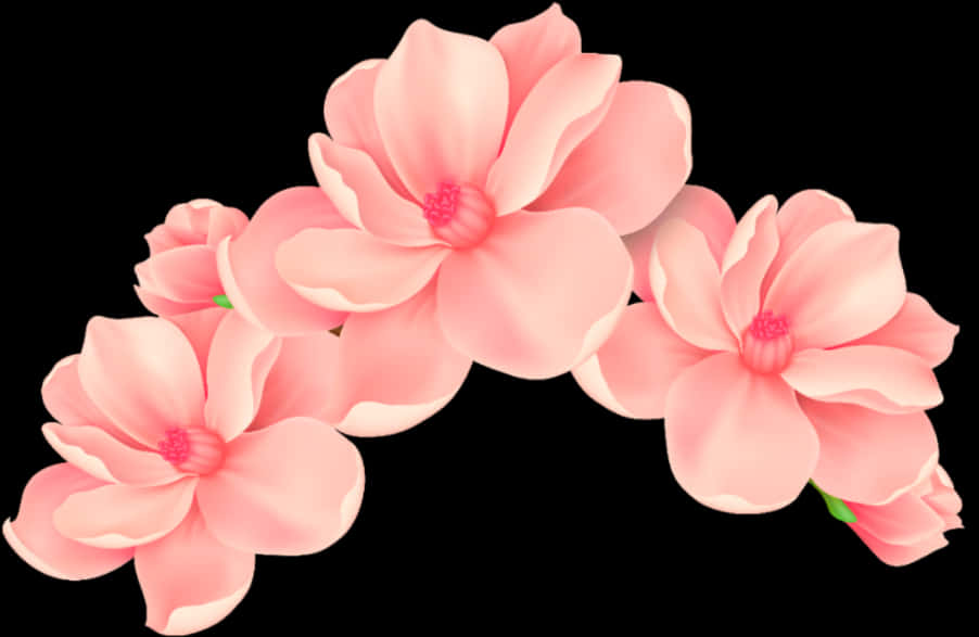 Vibrant Pink Flowers Black Background