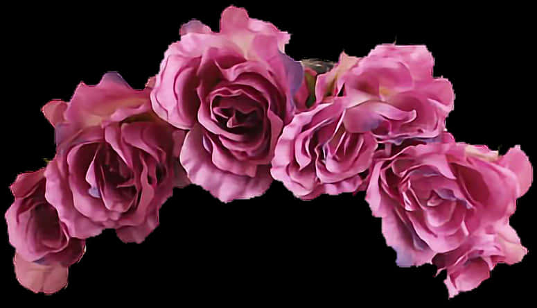 Vibrant_ Pink_ Roses_ Black_ Background.jpg