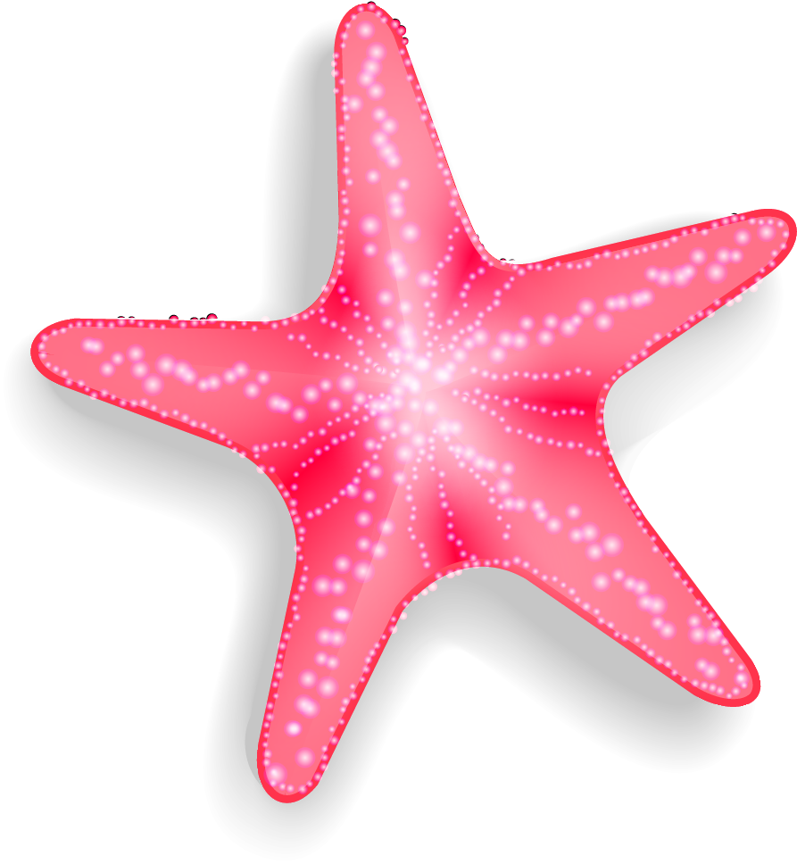 Vibrant Pink Starfish Clipart